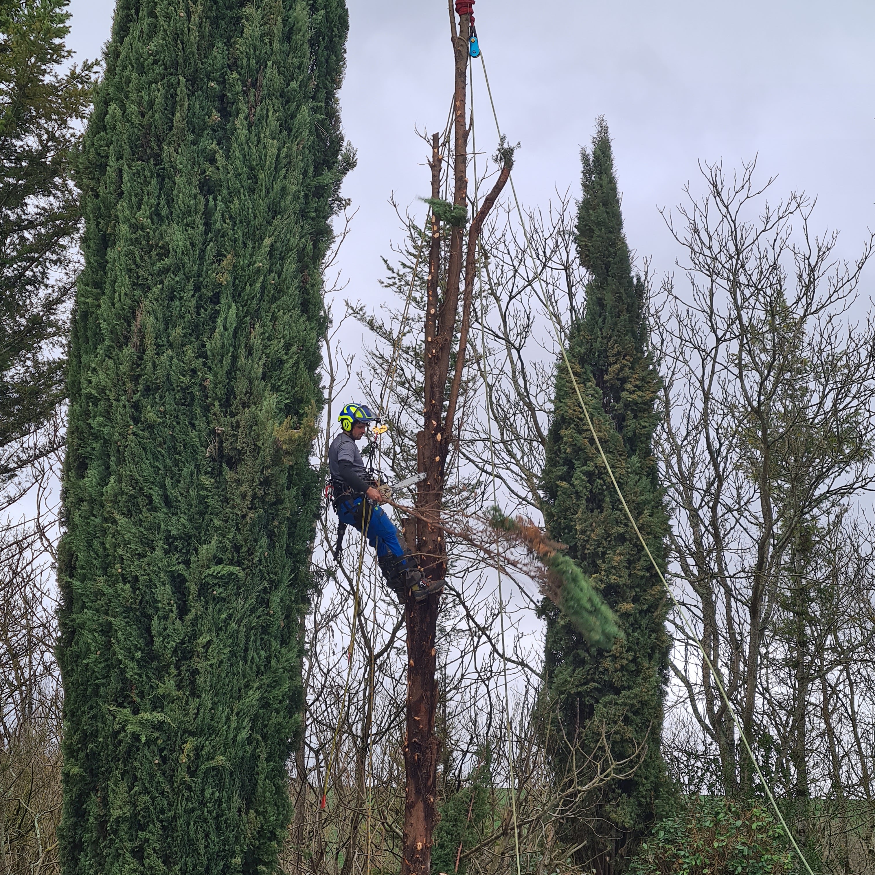 Photo n° 3 de l'avis de Gilles.e fait le 19/02/2024 à 14:50