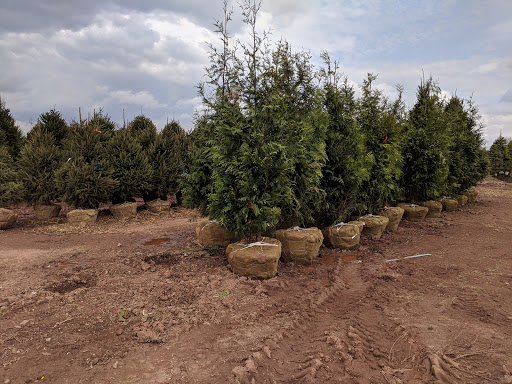 Lawn Mower Store «Central Jersey Nurseries Mower», reviews and photos, 18 Hamilton Rd, Hillsborough Township, NJ 08844, USA