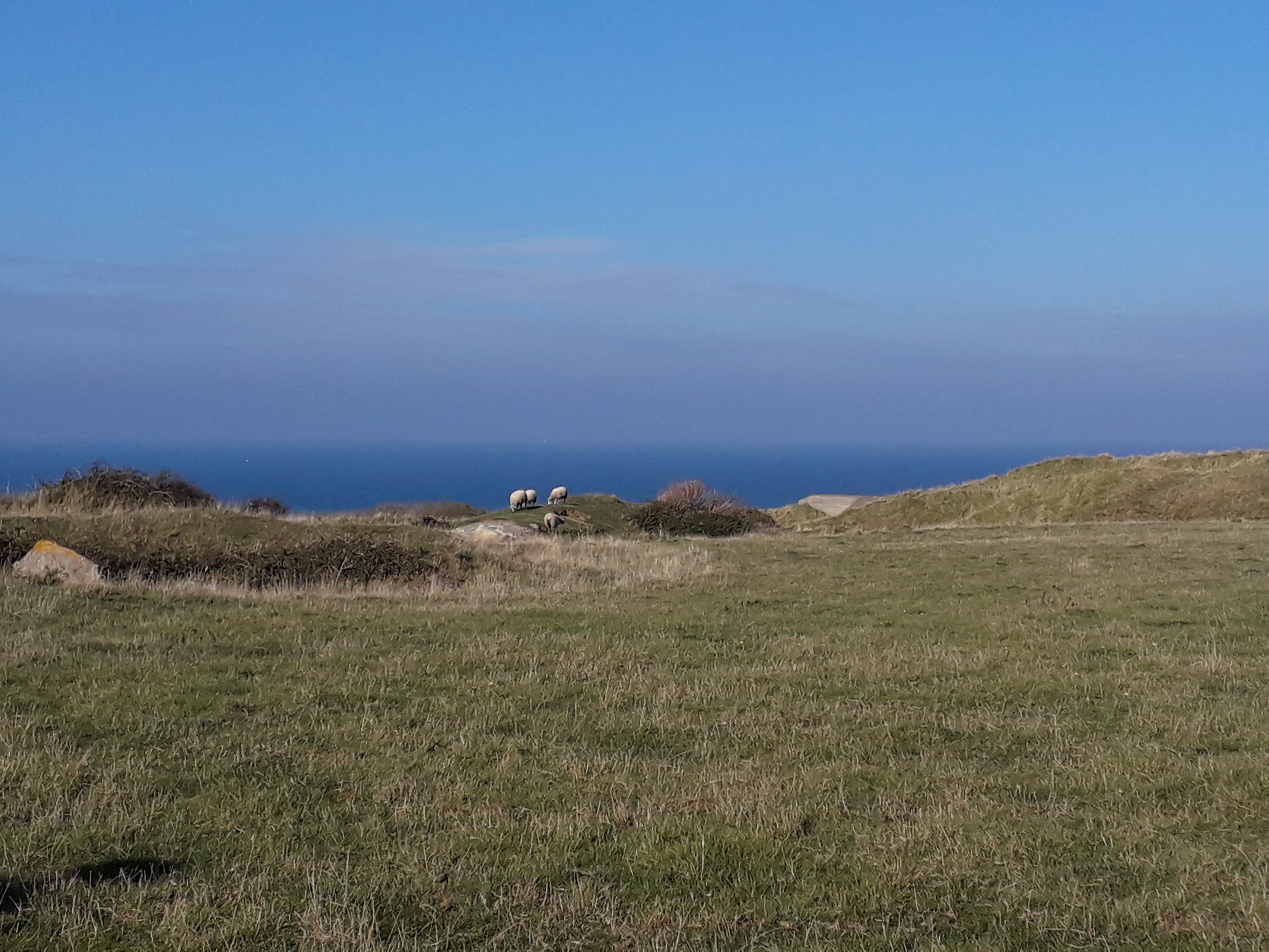 Photo n° 12 de l'avis de laurence.a fait le 03/11/2018 à 15:32