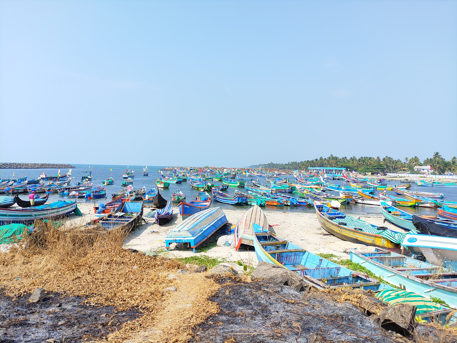 Chellanam Beach Kochi photo #8