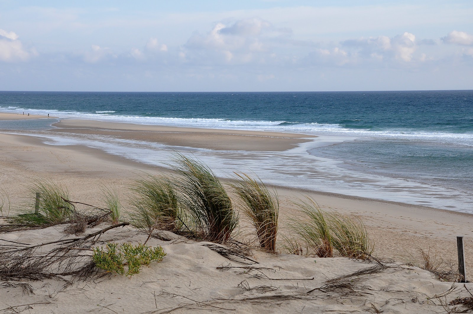 Carcans Plage photo #7