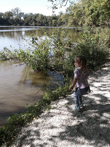 Tourist Attraction «Loop Island Wetlands», reviews and photos, 2200 E Main St, New Albany, IN 47150, USA