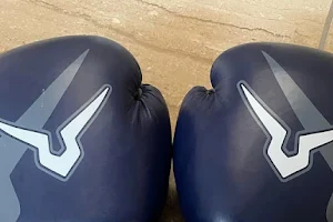 Vidya Sagar Boxing Academy - Best Boxing Academy image