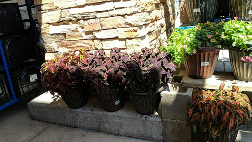 Grocery Store «King Soopers», reviews and photos, 1520 Main St, Windsor, CO 80550, USA