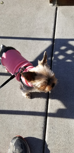 Pet Supply Store «Mud Bay», reviews and photos, 11830 NW Cedar Falls Dr, Portland, OR 97229, USA