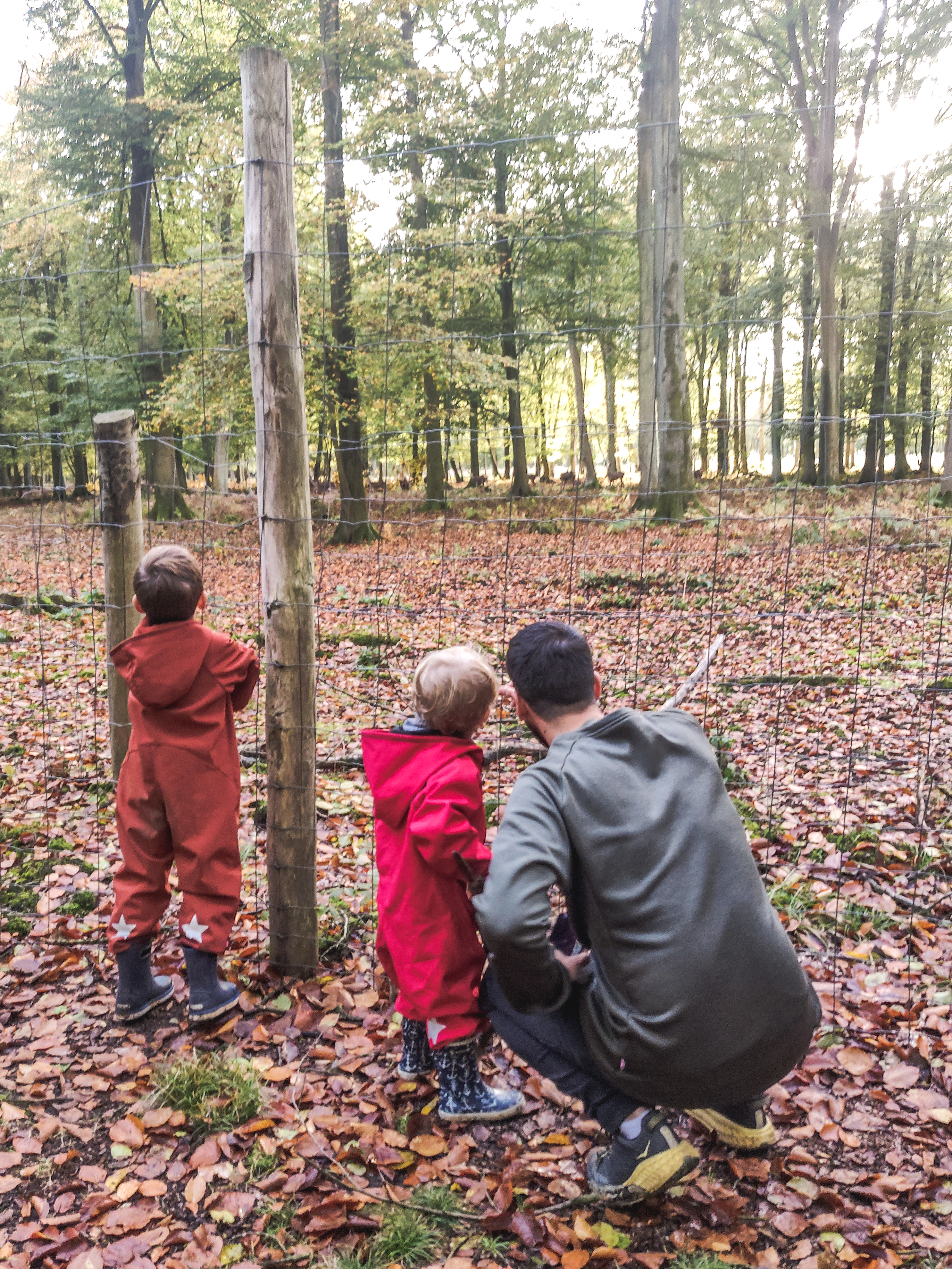 Photo n° 3 de l'avis de Chloé.b fait le 30/10/2021 à 18:19