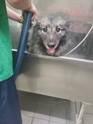 Pet Supply Store «Pet Supplies Plus», reviews and photos, 1764 Tilden Ridge Dr, Hamburg, PA 19526, USA