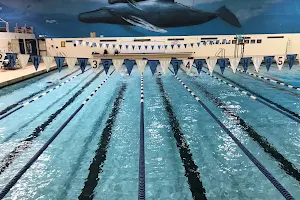 Royal Swimming image