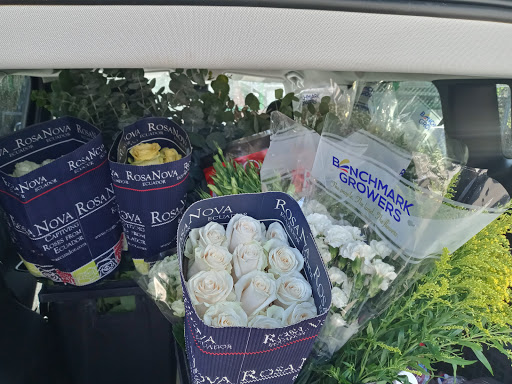 Florist «TGF Flowers», reviews and photos, 3902 Fannin St, Houston, TX 77004, USA