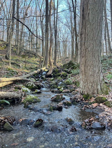 Blue Mountain Summit Trail Head