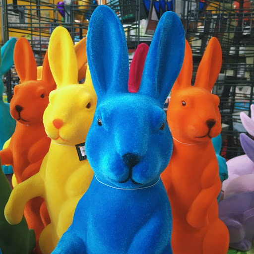 Balloon Store «The Red Balloon Company», reviews and photos, 417 15th Ave E, Seattle, WA 98112, USA