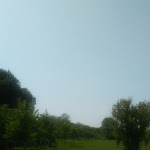 Photo n°1 de l'avis de Marco.a fait le 06/05/2018 à 13:35 sur le  Le Cementine à Roncade