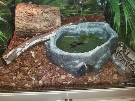 Pet Supply Store «PetSmart», reviews and photos, 5013 S Cleveland Ave, Fort Myers, FL 33907, USA