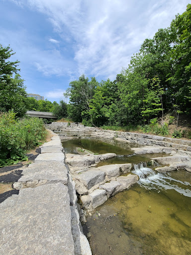 Cooksville creek trail