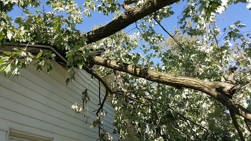 Car Repair and Maintenance «Midas», reviews and photos, 457 Southland Dr, Lexington, KY 40503, USA