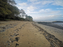 Eagle Rock Beach'in fotoğrafı vahşi alan