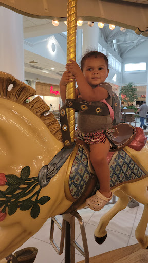 Shopping Mall «The Mall at Barnes Crossing», reviews and photos, 1001 Barnes Crossing Rd, Tupelo, MS 38804, USA