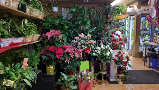 Florist «Cappelletti Florist Inc», reviews and photos, 1907 Bergenline Ave Suite #1, Union City, NJ 07087, USA