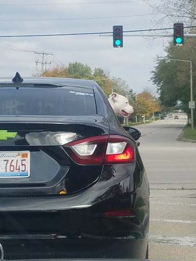 Nature Preserve «Rock Run Preserve - Paul V. Nichols Access», reviews and photos, Essington Rd, Joliet, IL 60435, USA
