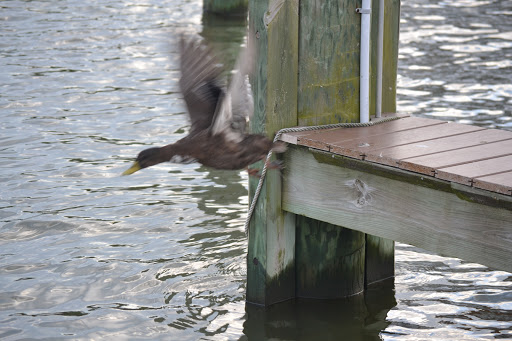 Spa Resort «Chesapeake Beach Resort and Spa», reviews and photos, 4165 Mears Ave, Chesapeake Beach, MD 20732, USA