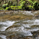 Photo n°1 de l'avis de Martin.r fait le 05/05/2023 à 08:09 sur le  Zur Zill à Ulm