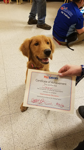 Pet Supply Store «PetSmart», reviews and photos, 351 N Frontage Rd, New London, CT 06320, USA