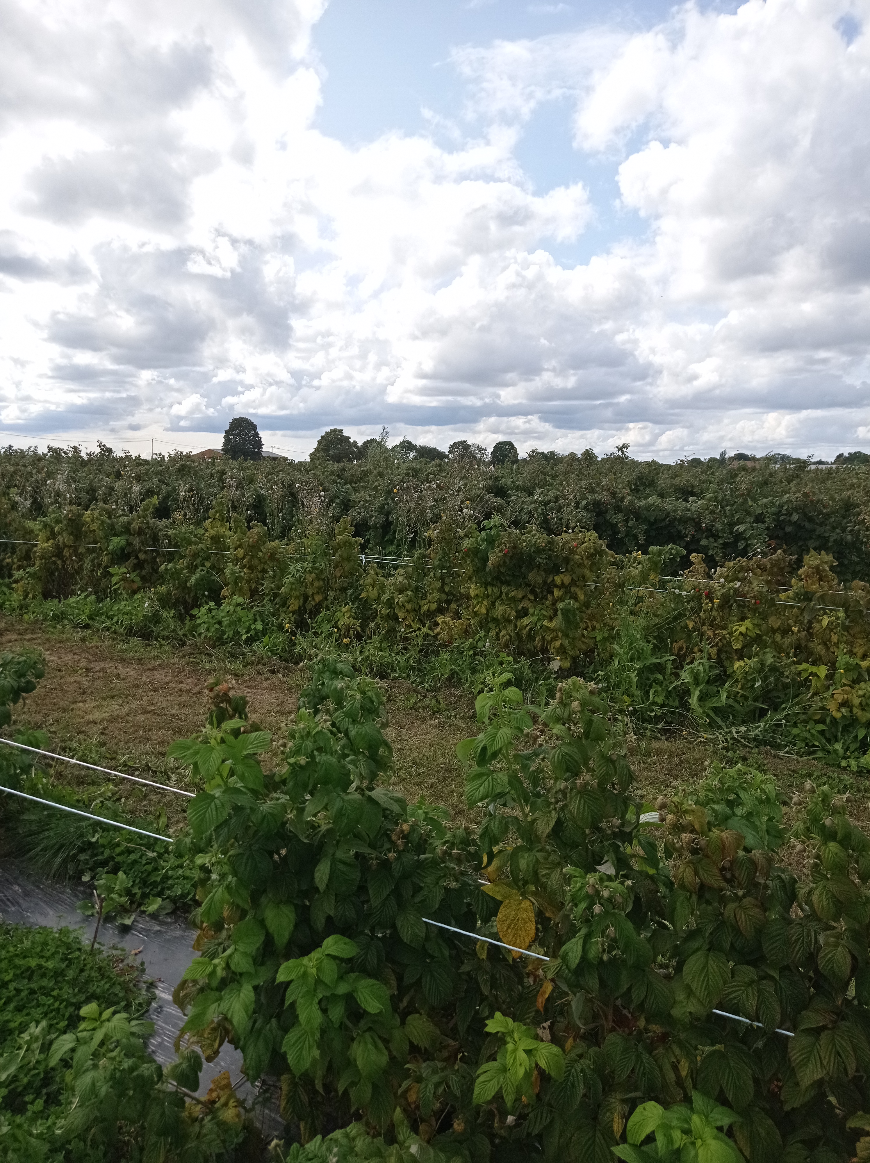 Photo n° 9 de l'avis de alexandre.u fait le 27/08/2023 à 13:21