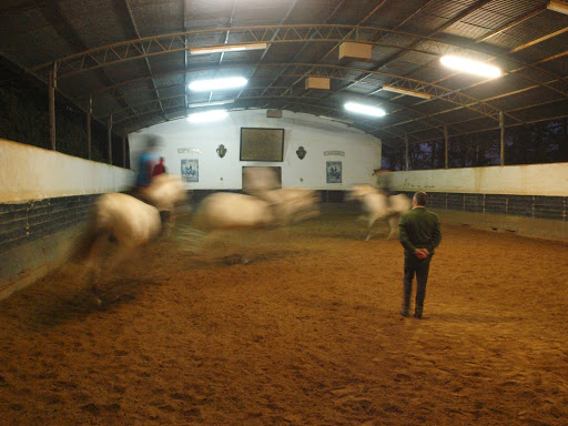 Quinta do Brejo - Escola de Equitação