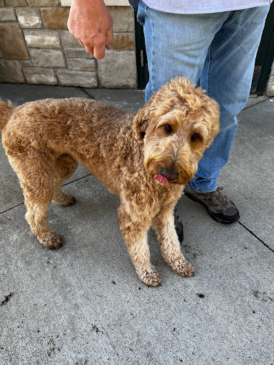 Modern Art Museum «The Andy Warhol Museum», reviews and photos, 117 Sandusky St, Pittsburgh, PA 15212, USA