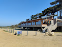 Lepe Country Park