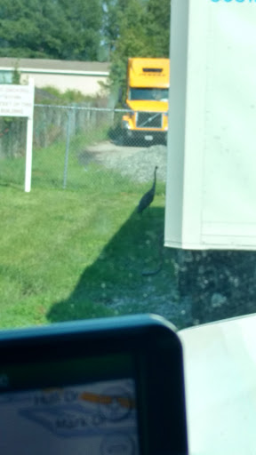 Moving Company «Moholland Transfer», reviews and photos, 220 E St, Hampton, VA 23661, USA