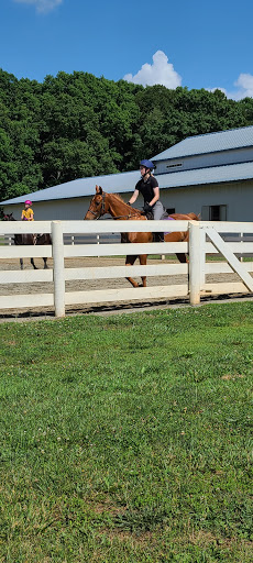 Horse riding lessons Charlotte