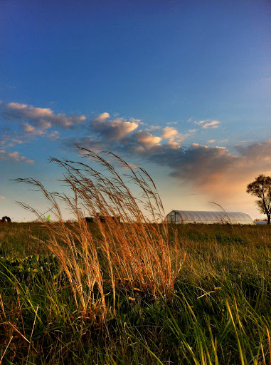 Produce Market «Blue Moon Acres», reviews and photos, 11 Willow Creek Dr, Pennington, NJ 08534, USA