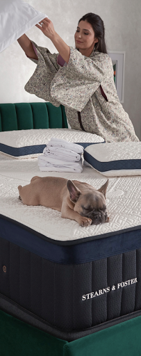 Bed Shop «The Mattress Experts», reviews and photos, 3525 NW Bascom Norris Dr, Lake City, FL 32055, USA