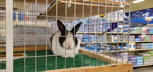New Hanover County Rabbit Rescue of Wilmington Inc.