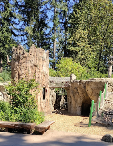 Zoo «Northwest Trek Wildlife Park», reviews and photos, 11610 Trek Dr E, Eatonville, WA 98328, USA