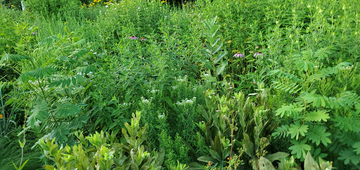 Tourist Attraction «Funky Bones», reviews and photos, 1850 38th St, Indianapolis, IN 46218, USA