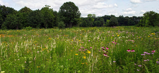 Non-Profit Organization «Aldo Leopold Nature Center», reviews and photos, 330 Femrite Dr, Madison, WI 53716, USA