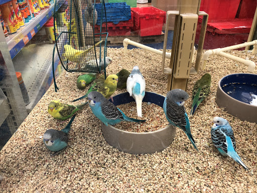 Pet Supply Store «Pet Supermarket», reviews and photos, 2696 N University Dr, Sunrise, FL 33322, USA