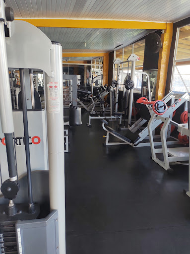 Logo da empresa - Academia GoodFit