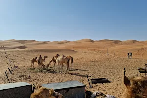 Bedouin House - um said | بيت البدو - أم سعيد image