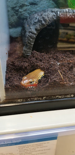 Pet Supply Store «Petco Animal Supplies», reviews and photos, 859 Kings Creek Dr, Tupelo, MS 38804, USA