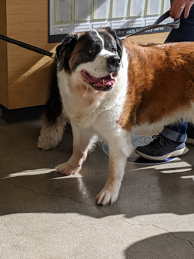 Pet Supply Store «Petco Animal Supplies», reviews and photos, 2910 Wilshire Blvd, Santa Monica, CA 90403, USA