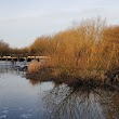 Birstall Lock 45