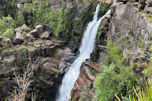 Carrington Falls image