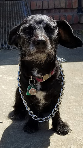 Animal Feed Store «Cerri Family Feed», reviews and photos, 2949 S Airport Way, Stockton, CA 95206, USA