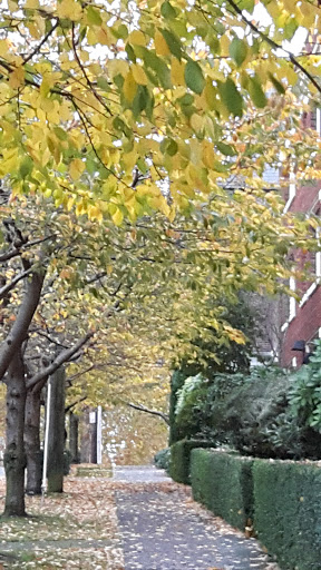 Park «Kerry Park», reviews and photos, 211 W Highland Dr, Seattle, WA 98119, USA