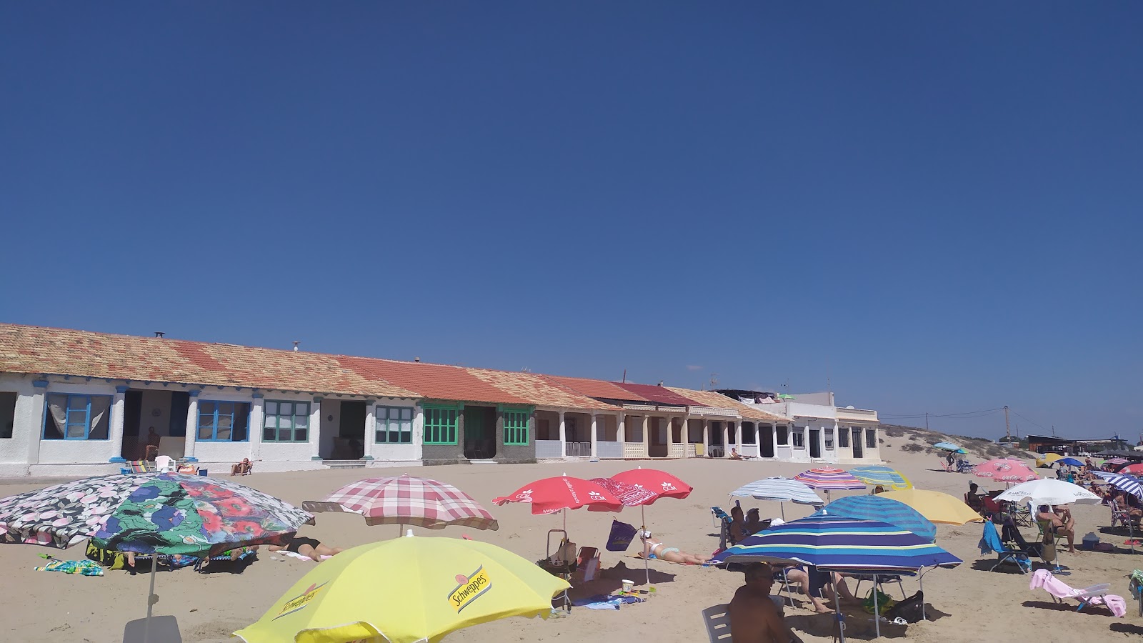 Foto av Playa de El Pinet beläget i naturområde