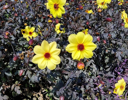 Chamber of Commerce «VISIT Lake Geneva», reviews and photos, 201 Wrigley Dr, Lake Geneva, WI 53147, USA