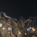 Photo n°3 de l'avis de D.O..o fait le 14/04/2019 à 10:58 sur le  Il Sauro à Faicchio